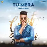 Tu Mera