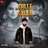 Kalle Naal Kalla Ft. Gurlej Akhtar