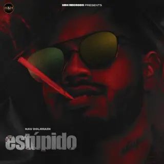 Estupido