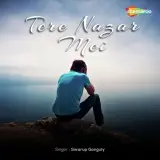 Tere Nazar Mei