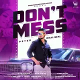 Don't Mess Ft. Ellde Fazilka