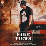 Fake Views