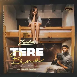 Tere Bina Acoustic
