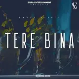 Tere Bina