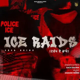 ICE RAIDS