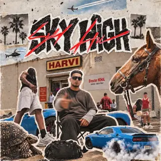 Sky High