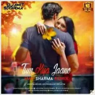 Tum Kya Jaano Remix