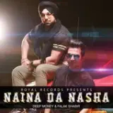 Naina Da Nasha