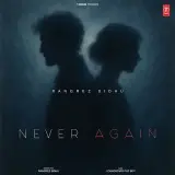 Never Again
