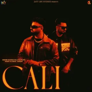 Cali Ft. DJ Flow