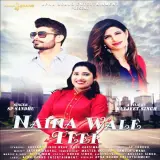 Naina Wale Teer
