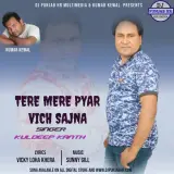 Tere Mere Pyar Vich Sajna