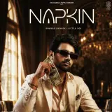 Napkin