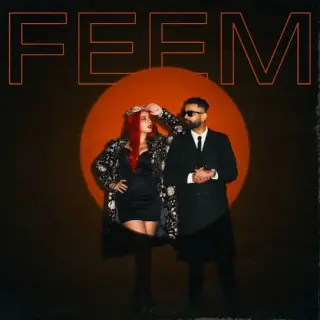 FEEM Ft. Amrit Maan