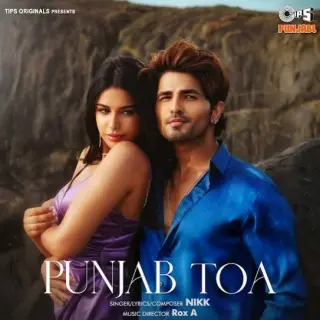 Punjab Toa