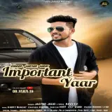 Important Yaar