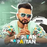 Topiyan Nai Paiyan