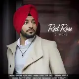 Red Rose