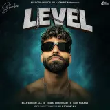 Level