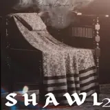Shawl 2