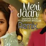 Meri Jaan Remix