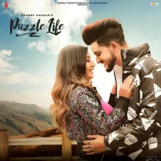 Puzzle Life Ft. Sucha Yaar