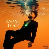 Insane Love