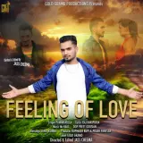 Feeling Of Love