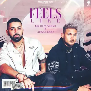 Feels Like Ft. Jess Loco