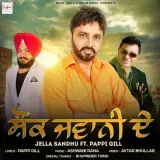 Shaunk Jawani De