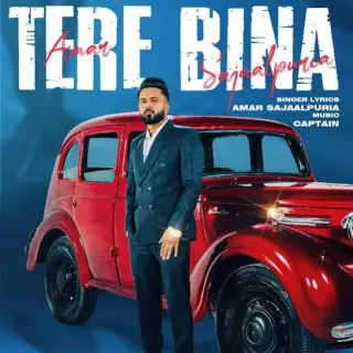 Tere Bina