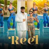 Reel