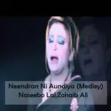 Neendran Ni Aundiya (Medley)