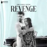 Revenge