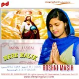 Mere Malik