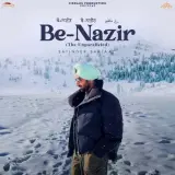 Benazir The Unparalleled