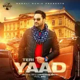 Teri Yaad