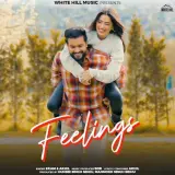 Feelings