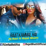 Raat Kamal Hai Remix