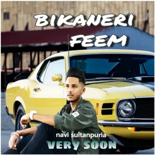 Bikaneri Feem