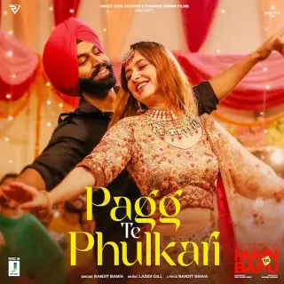 Pagg Te Phulkari