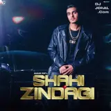 Shahi Zindagi