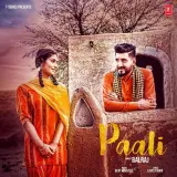 Paali