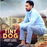 Tiny Dog