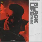 Black Life Ft. Mxrci