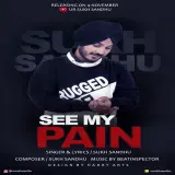 See My Pain