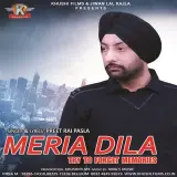 Meria Dila