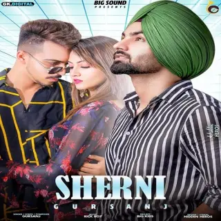 Sherni  Ft Mr & Mrs Narula