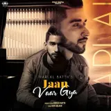 Jaan Vaar Gya