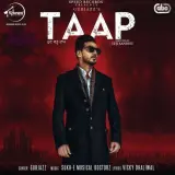Taap